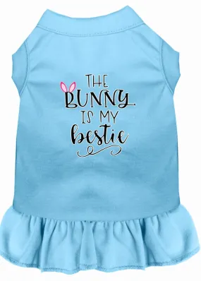 Bunny Is My Bestie Screen Print Dog Dress Baby Blue Lg (14)
